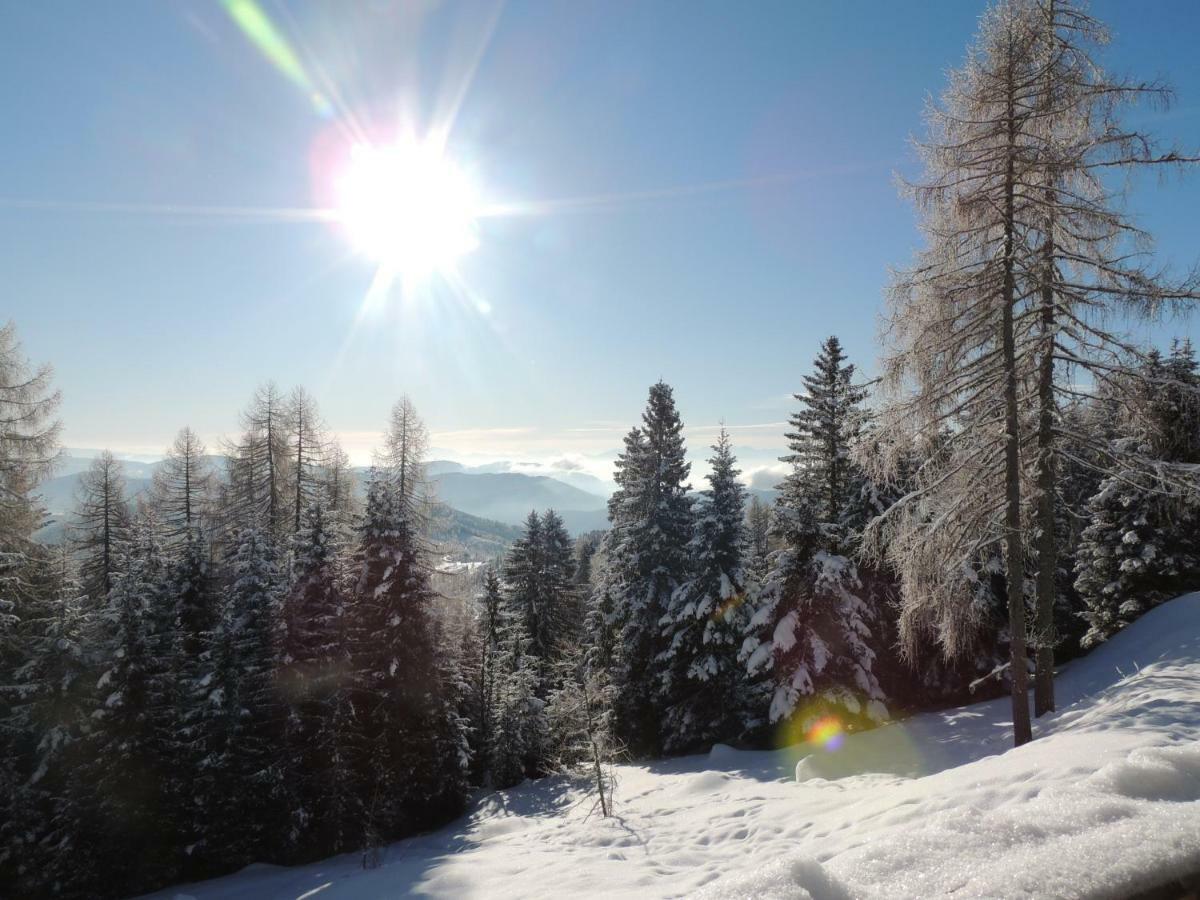 Villa-Alpenblick Hochrindl Εξωτερικό φωτογραφία